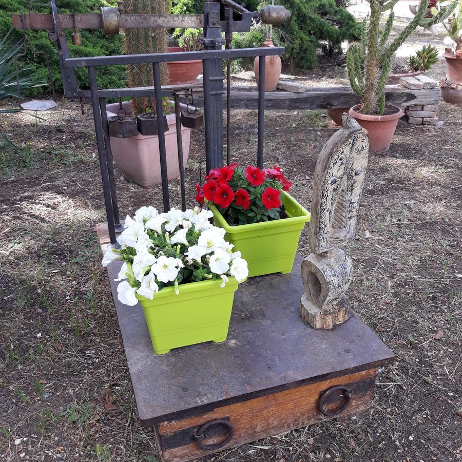 B&B Villa Garden Bisceglie Ngoại thất bức ảnh